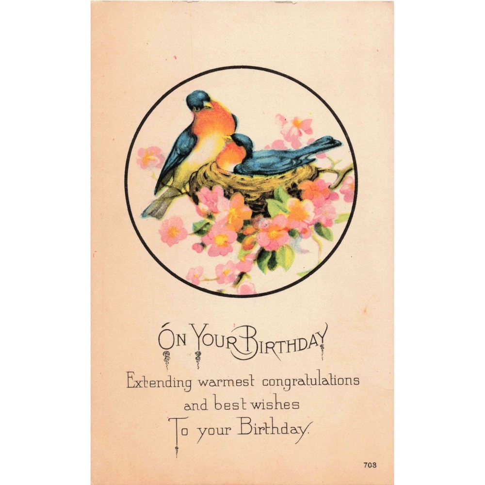 Vintage Birthday Postcard Bluebirds in Nest Pink Flowers St Peter IL VG 703